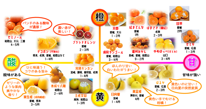 柑橘チャートマップ
